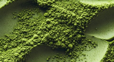 polvo verde